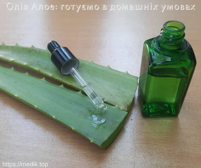 Олія Алое, лікарська рослина Алое, сік і листя Алое, приготування мацерату, біогенний стимулятор, вплив соку Алое, корисні властивості Алое, Алое в косметиці